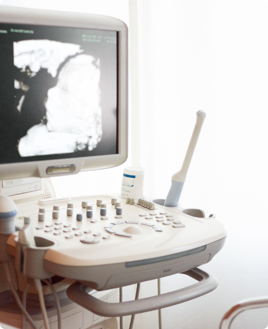 Ultraschallanzeige einer Kon­troll­un­ter­su­chun­gen wäh­rend der Schwan­ger­schaft